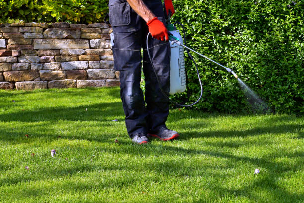 Best Seasonal Pest Control  in State Center, IA